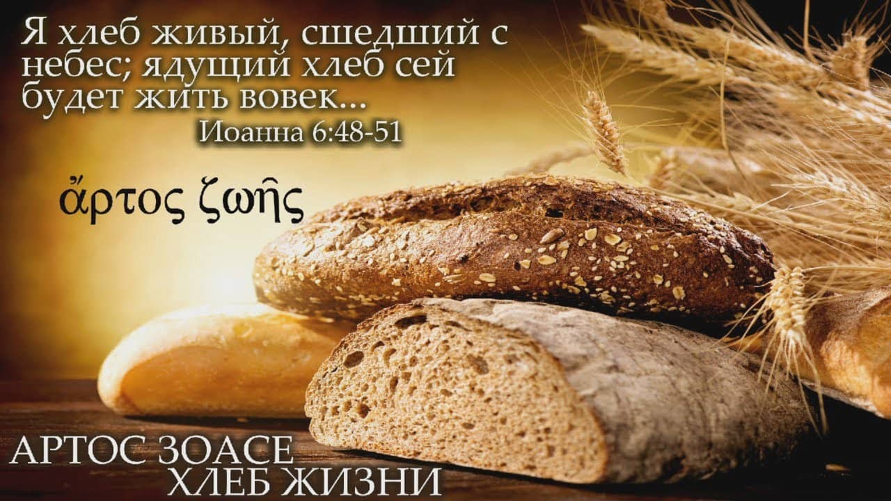 Жить без хлеба. Христос хлеб жизни. Хлеб с небес. Иисус хлеб жизни. Я есмь хлеб сшедший с небес.
